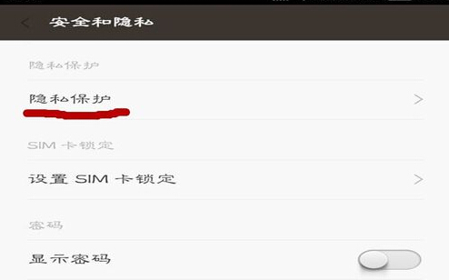 选择“隐私保护”