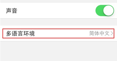 点击进入来到通用设置一栏，然后在其下方找到【多语言环境】