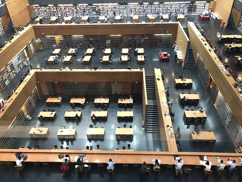 学会这 5 个技巧，iPhone  X  就能拍出和单反一样的照片