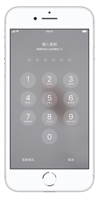 iPhone  XS/XS  Max  如何临时禁用「面容 ID」解锁？
