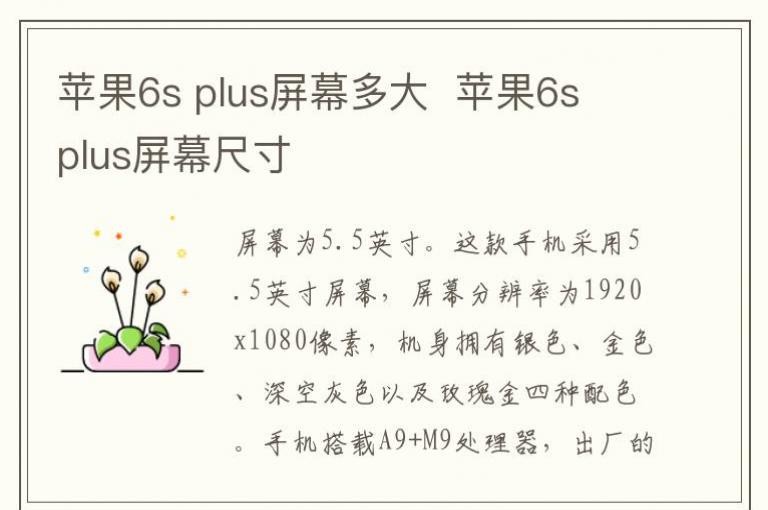 苹果6s plus屏幕多大