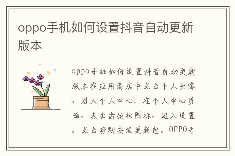 oppo手机如何设置抖音自动更新版本