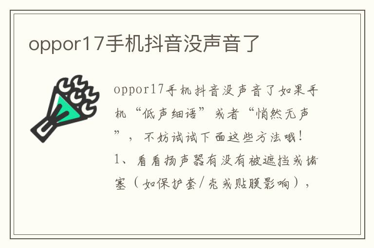 oppor17手机抖音没声音了