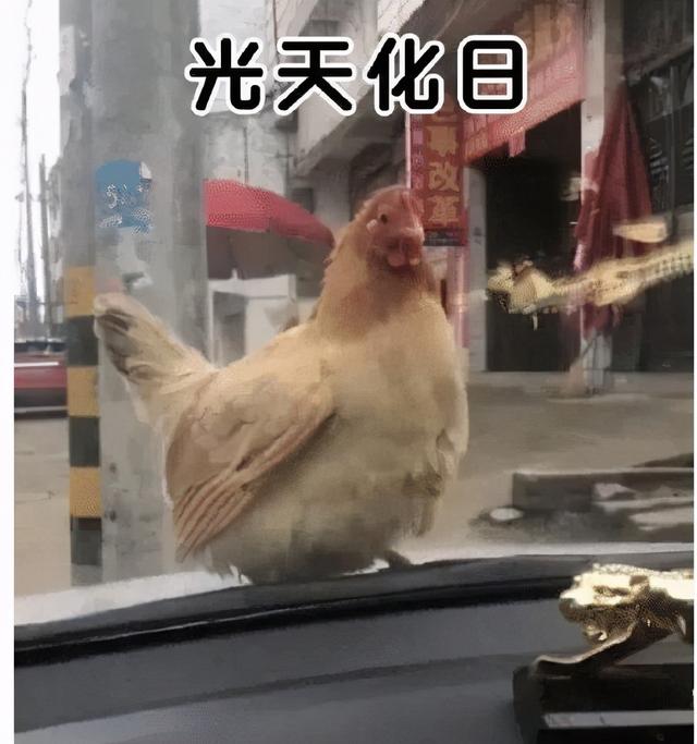 甜粽和咸肉粽要打起来了 