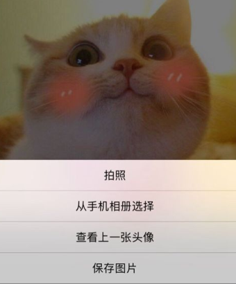 微信怎么查看上一张头像 微信查看上一张头像方法介绍