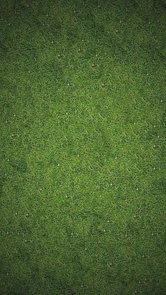 游侠网12