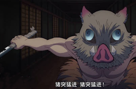 抖音猪突猛进是什么意思？抖音猪突猛进介绍