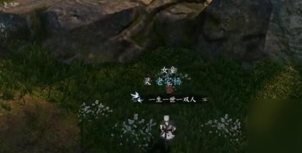 175083.jpg