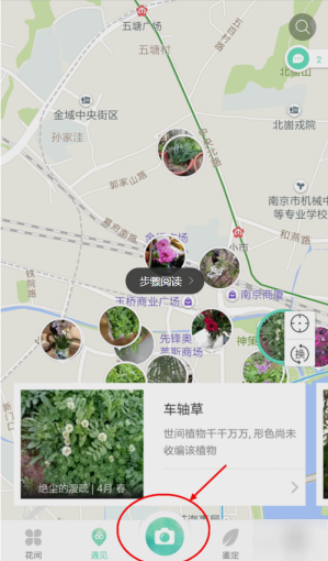 形色APP识别花名的操作流程