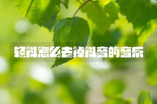 轻抖怎么去掉抖音的音乐