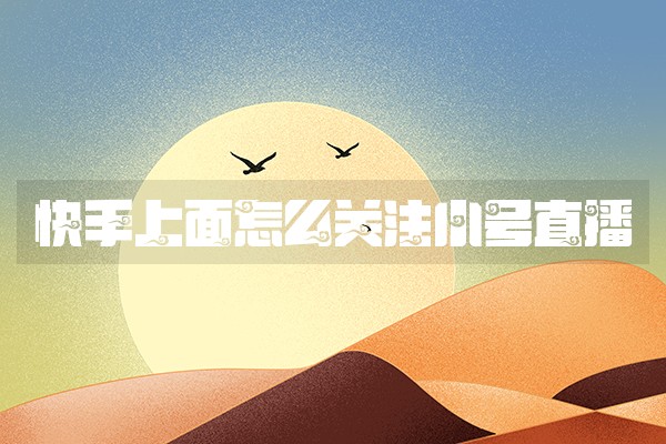 快手上面怎么关注小号直播