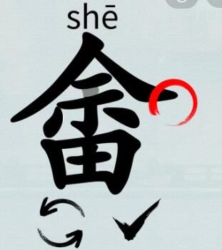 img_localize_dc95f07bc7a728217a2232538ee408e0_311x351.png