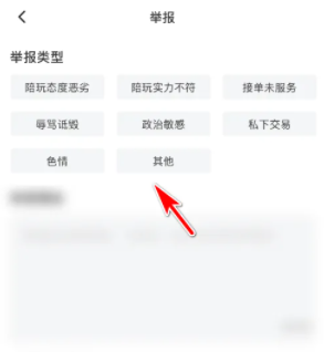 皮皮陪玩