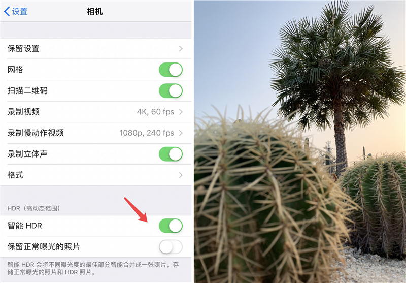 iPhone  XR  如何拍摄出好照片？iPhone  XR拍摄技巧