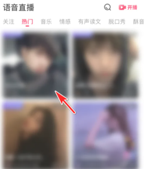 皮皮陪玩