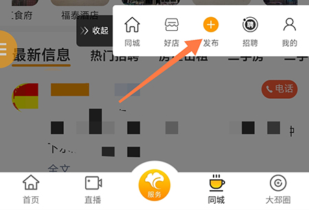 邳州银杏甲天下