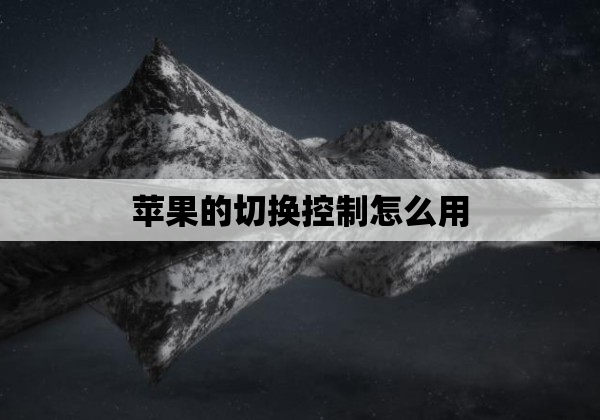 苹果的切换控制怎么用