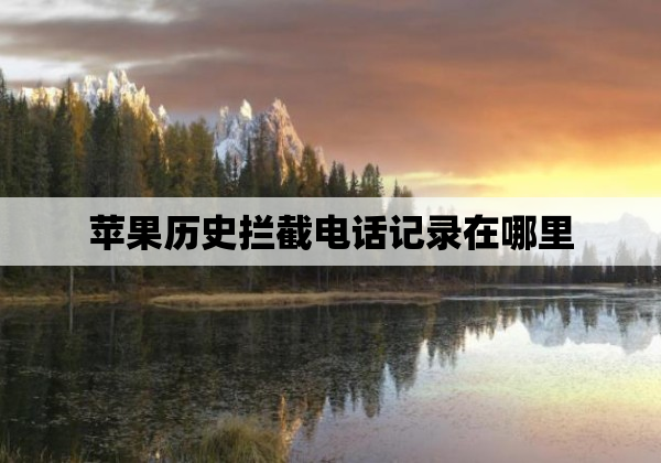 苹果历史拦截电话记录在哪里