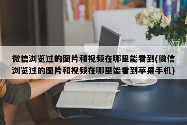 微信浏览过的图片和视频在哪里能看到(微信浏览过的图片和视频在哪里能看到苹果手机)