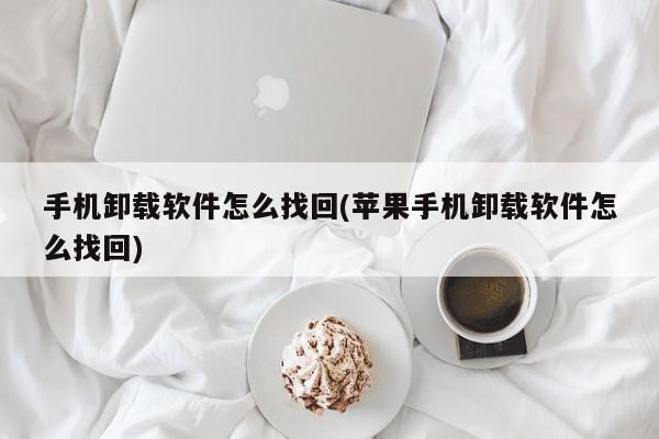 手机卸载软件怎么找回(苹果手机卸载软件怎么找回)