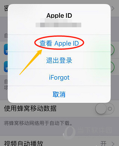 苹果安装app取消验证