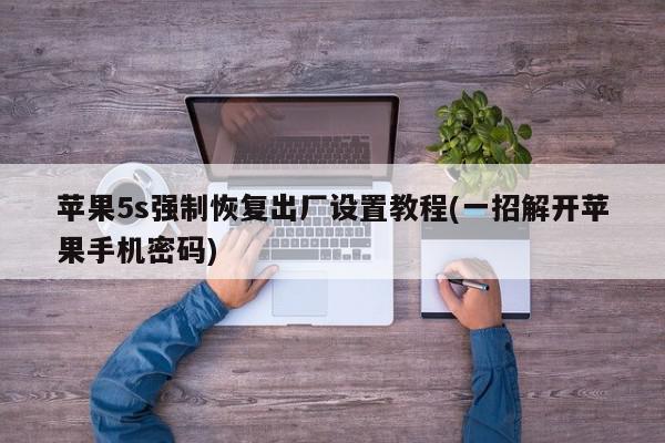 苹果5s强制恢复出厂设置教程(一招解开苹果手机密码)