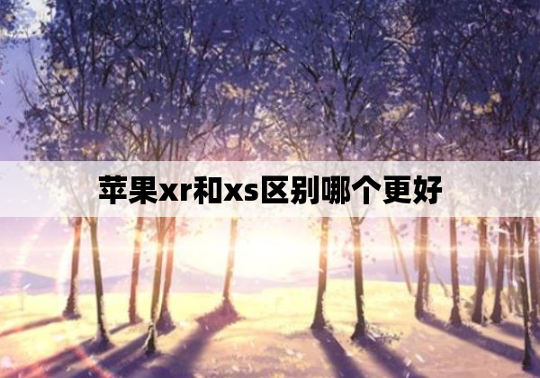 苹果xr和xs区别哪个更好