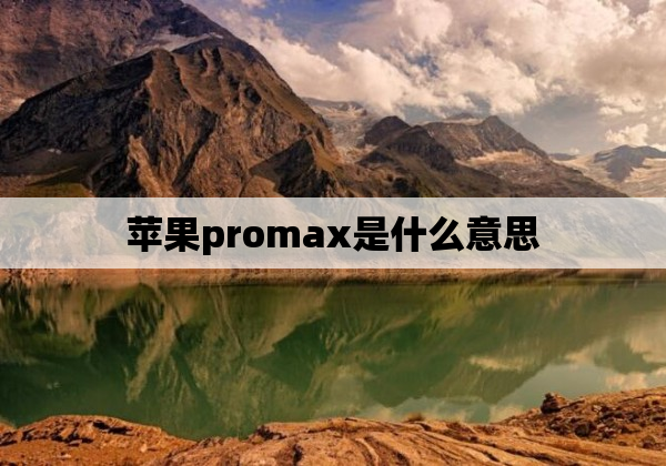苹果promax是什么意思