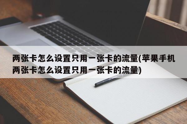 两张卡怎么设置只用一张卡的流量(苹果手机两张卡怎么设置只用一张卡的流量)