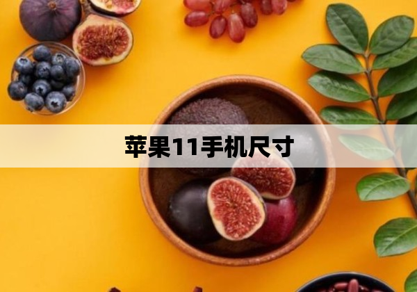 苹果11手机尺寸