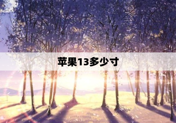 苹果13多少寸