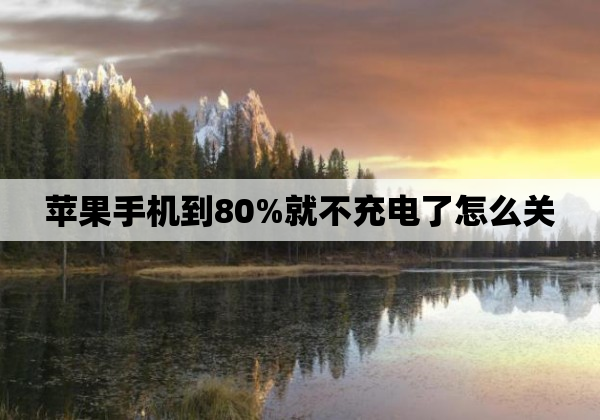 苹果手机到80%就不充电了怎么关
