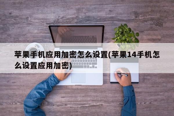苹果手机应用加密怎么设置(苹果14手机怎么设置应用加密)