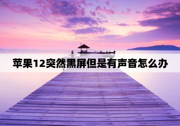 苹果12突然黑屏但是有声音怎么办
