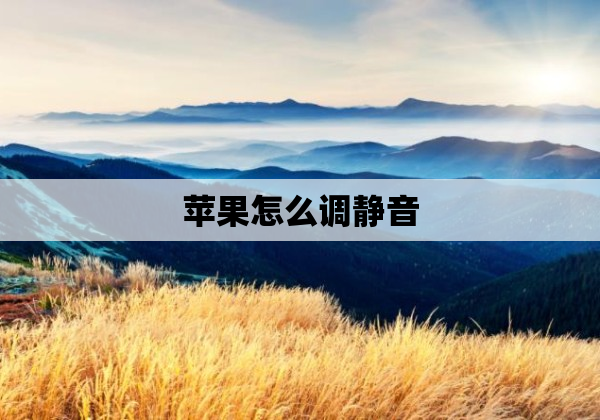 苹果怎么调静音