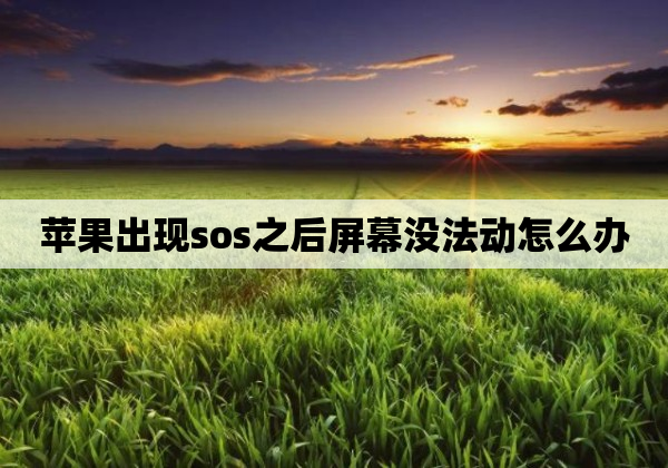 苹果出现sos之后屏幕没法动怎么办