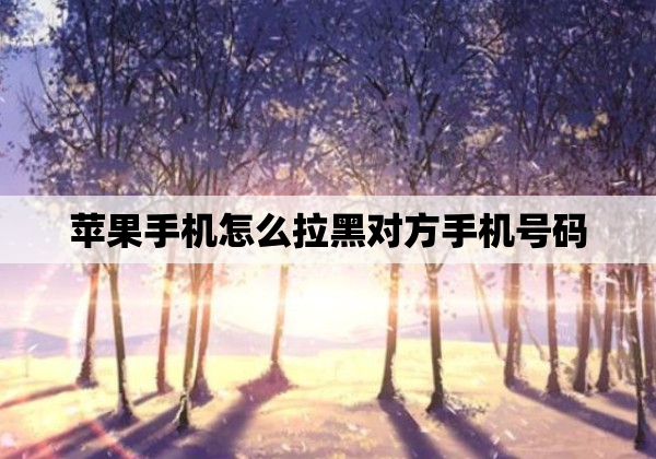 苹果手机怎么拉黑对方手机号码