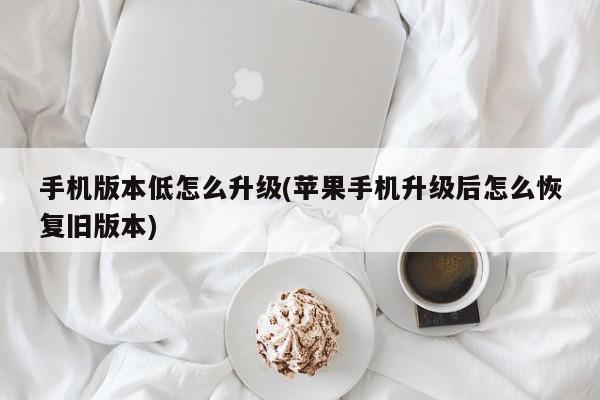手机版本低怎么升级(苹果手机升级后怎么恢复旧版本)