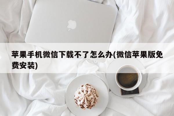 苹果手机微信下载不了怎么办(微信苹果版免费安装)
