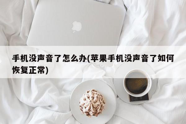 手机没声音了怎么办(苹果手机没声音了如何恢复正常)
