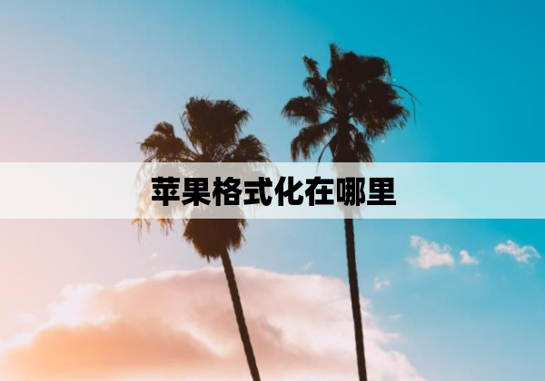 苹果格式化在哪里