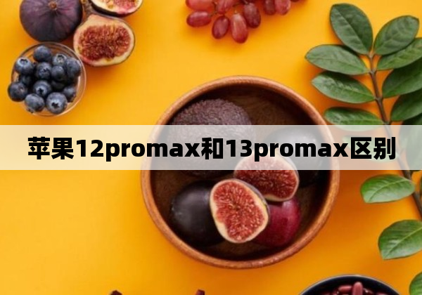 苹果12promax和13promax区别