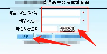 img202209301618390_info413X210.png