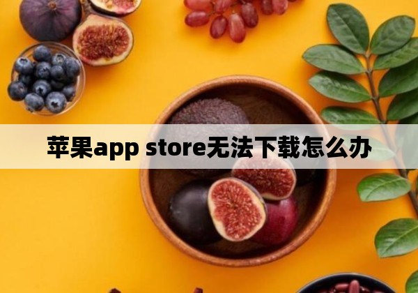 苹果app  store无法下载怎么办