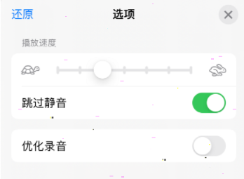 语音备忘录如何设置跳过静音？语音备忘录跳过静音设置方法截图