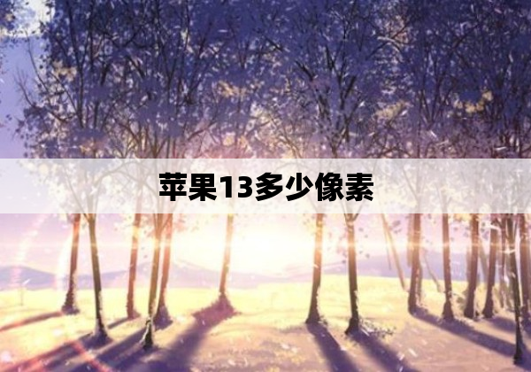 苹果13多少像素