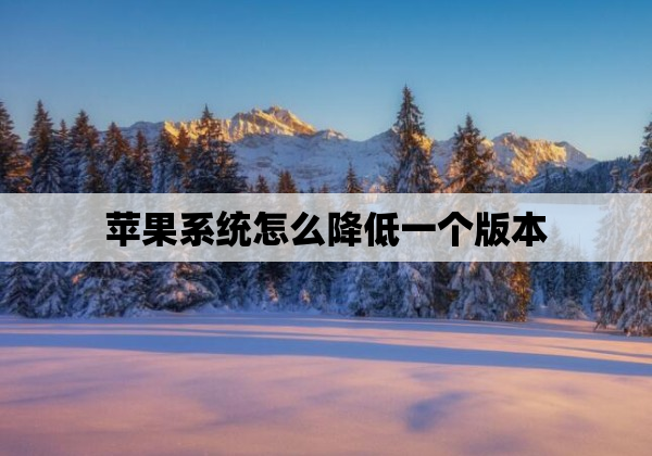 苹果系统怎么降低一个版本