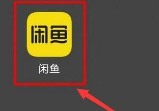 《闲鱼》查看闲鱼币获取的操作方法