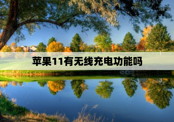 苹果11有无线充电功能吗