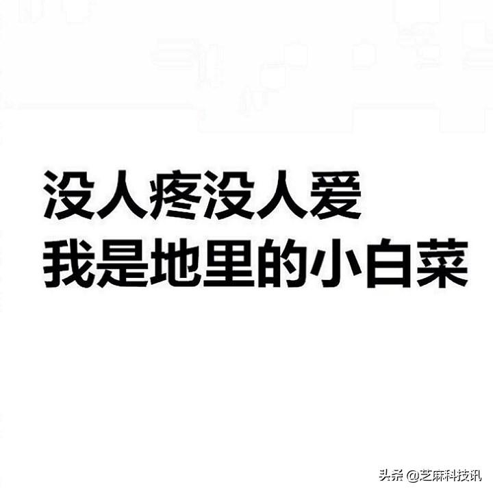 微信封面尺寸比例是多少?朋友圈封面尺寸设置教程